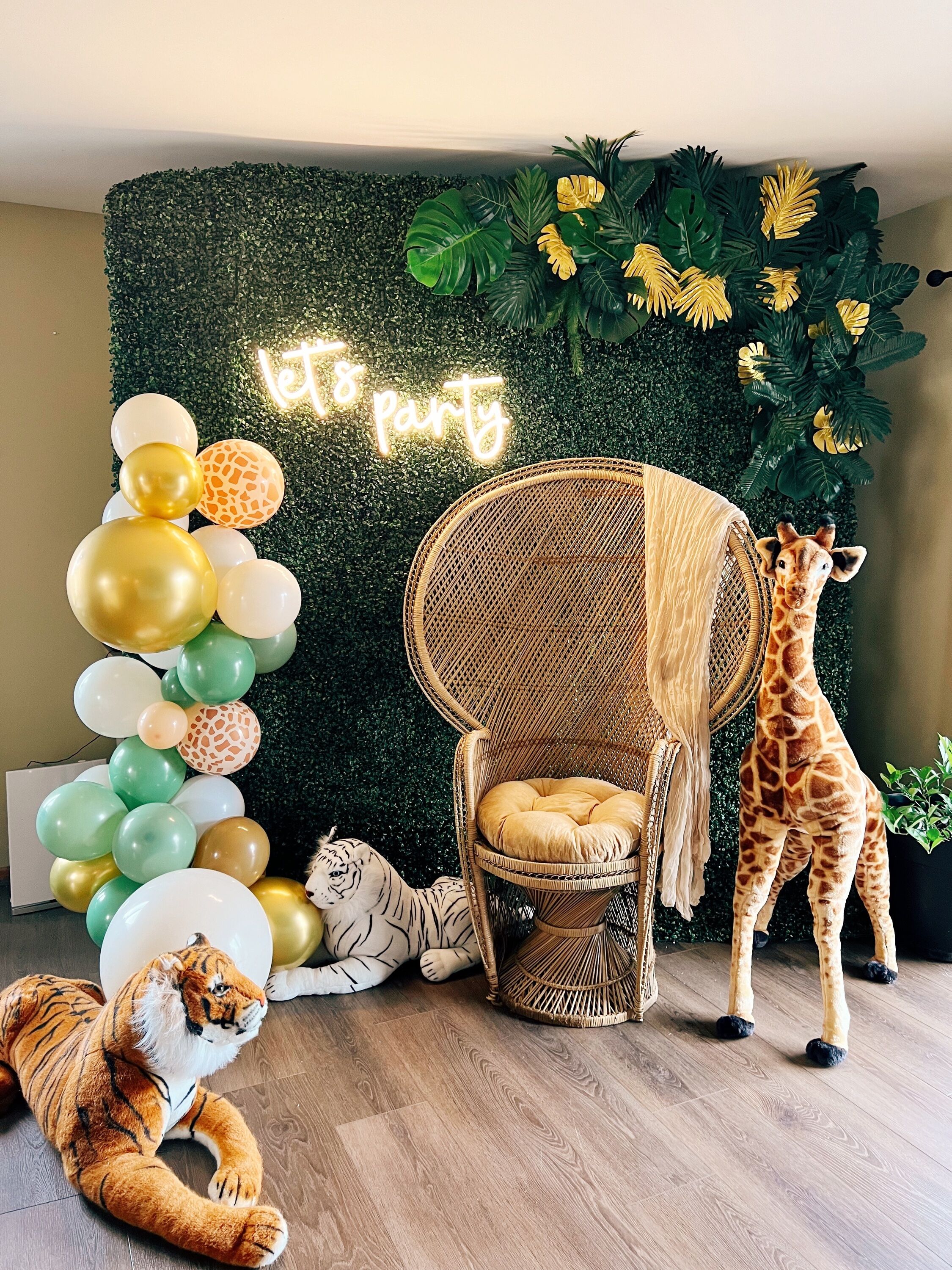 wild one birthday party rental, childrens birthday party rental, kids party rental, baby shower rental